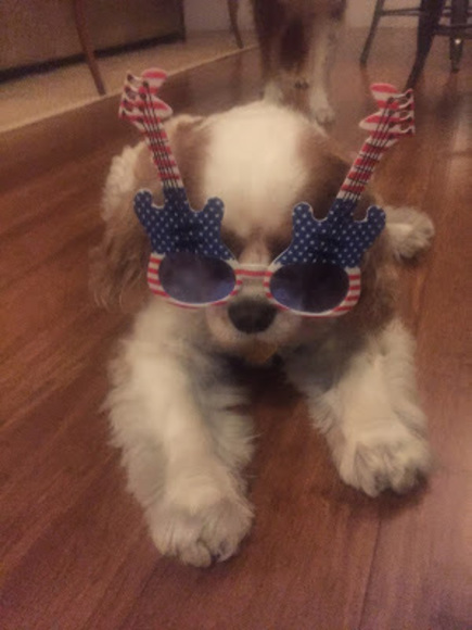 Meet your Posher, Eve - Picture 1 of 1